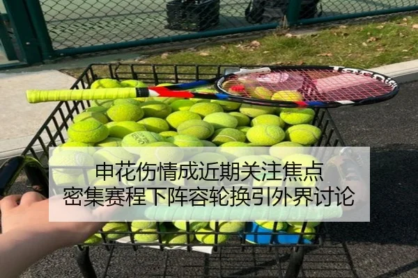 申花伤情成近期关注焦点 密集赛程下阵容轮换引外界讨论